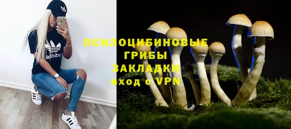 молекула духа Белокуриха