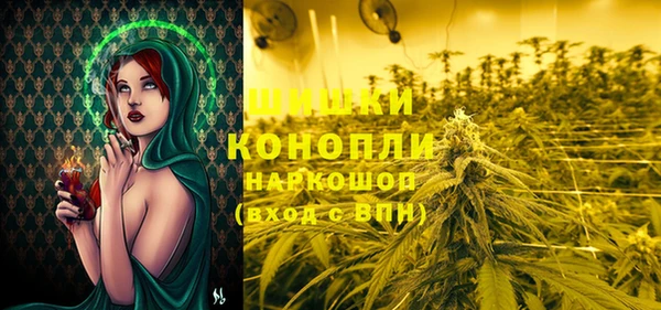 молекула духа Белокуриха
