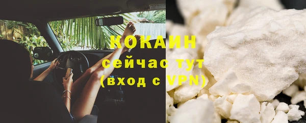 молекула духа Белокуриха