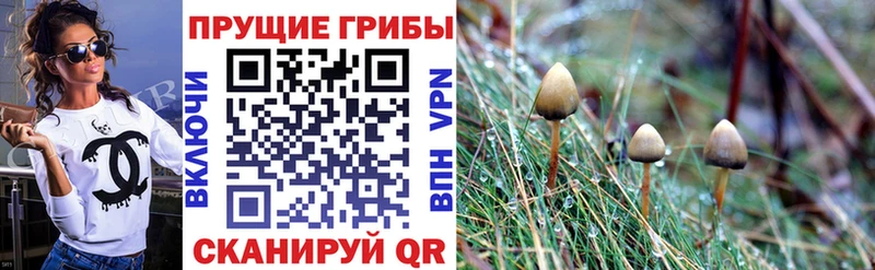 Галлюциногенные грибы мухоморы  Люберцы 